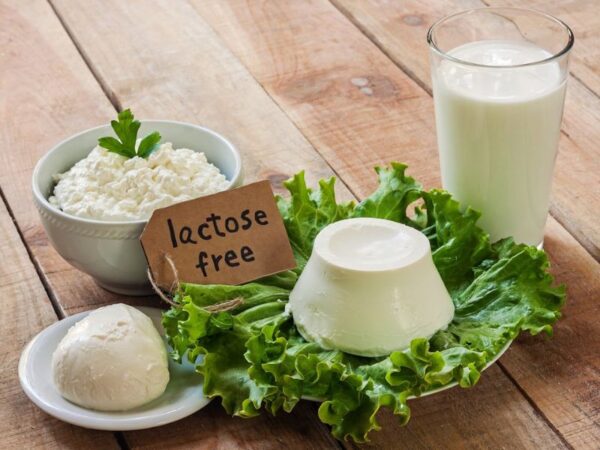 Mèo không dung nạp lactose