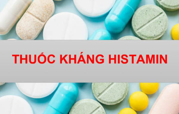 Thuốc kháng histamin cho chó bị sưng mặt