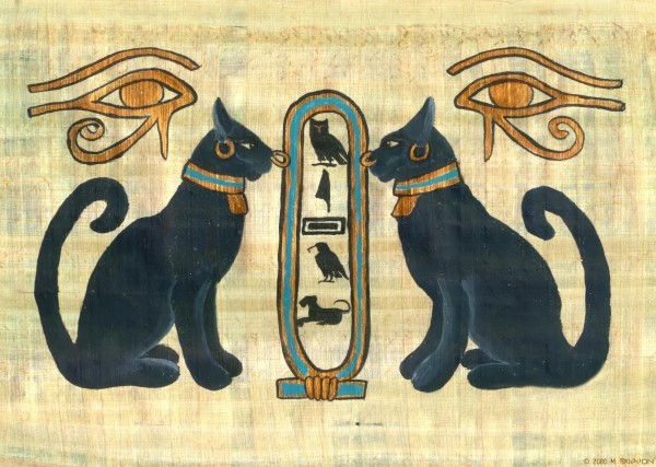 7 3